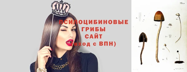 дмт Верхний Тагил